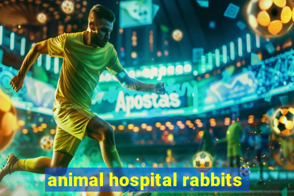 animal hospital rabbits